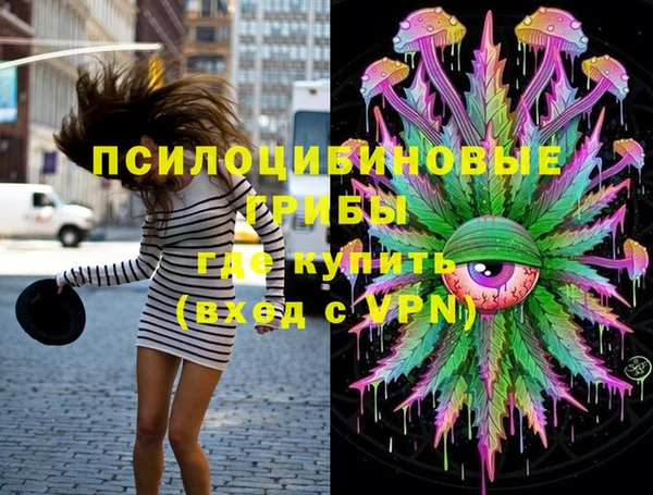 тгк Алексин