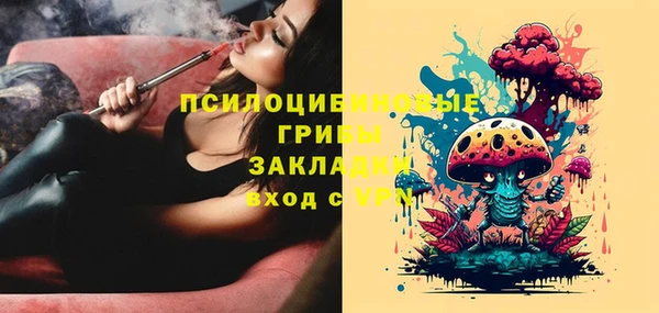 тгк Алексин
